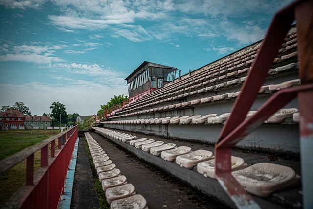 正如卡内达 正如卡内达