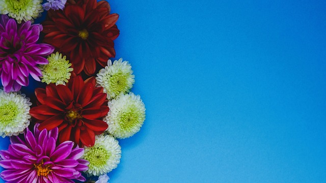 这项运动的 这项运动的